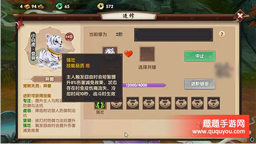 寻仙宠物怎么进阶