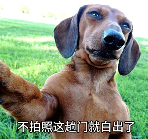 怪物大作战礼包,怪物大作战新手卡,怪物大作战官方合作发号