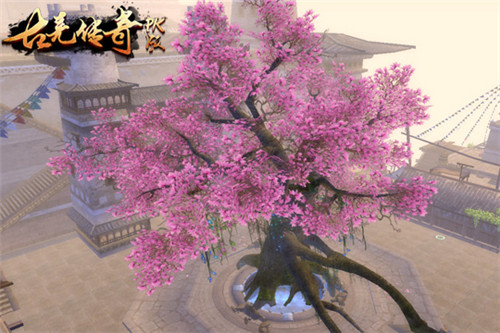 苍空,苍空礼包,苍空新手礼包,苍空新手卡,苍空官方合作发号